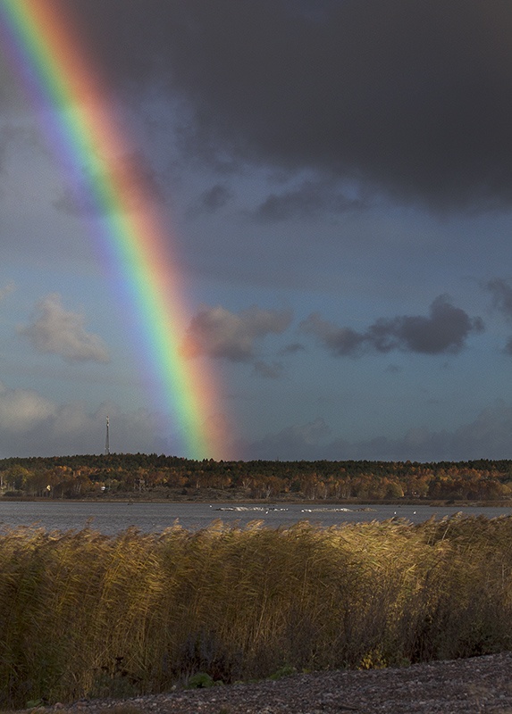 höstregnbåge